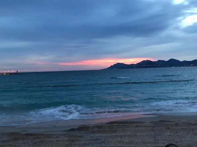 Boulevard De La Croisette Cannes Centre
